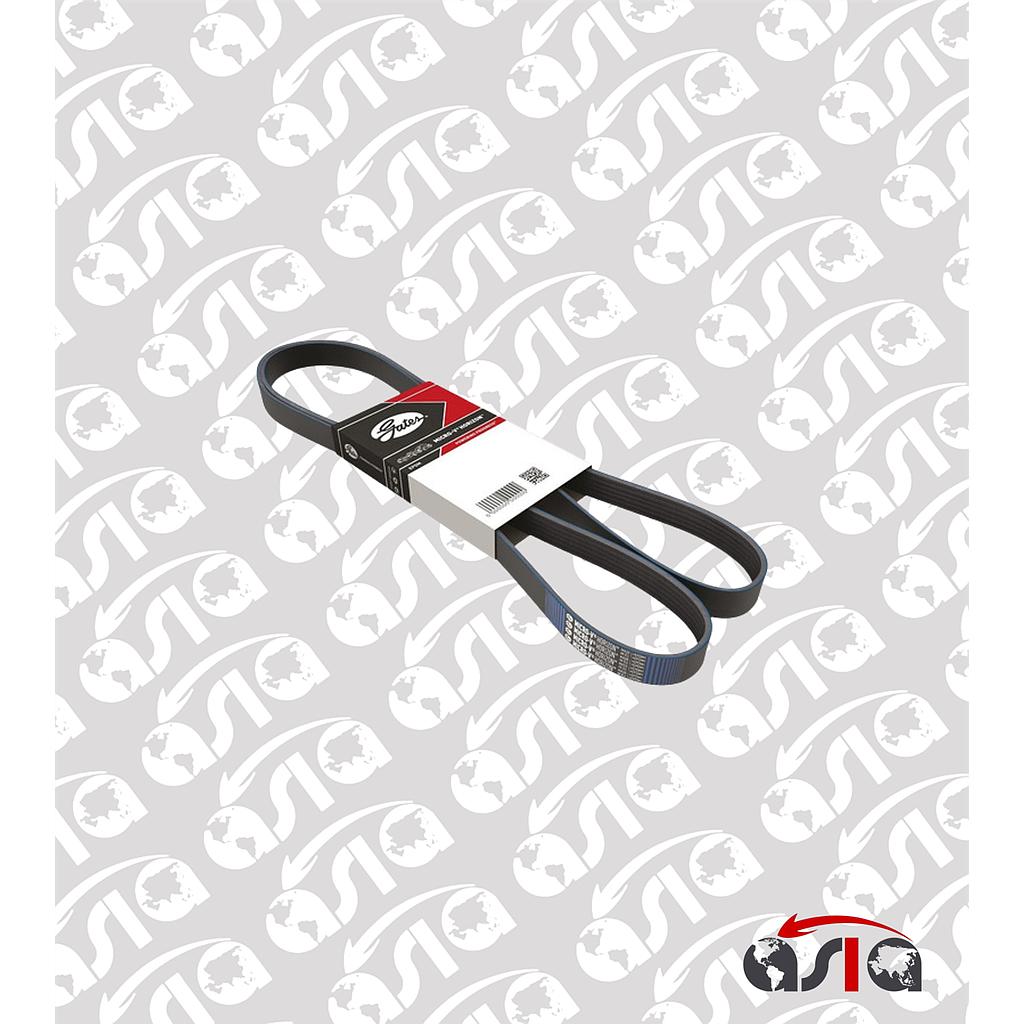CORREA UNICA 3PK495 FOCUS 3.0