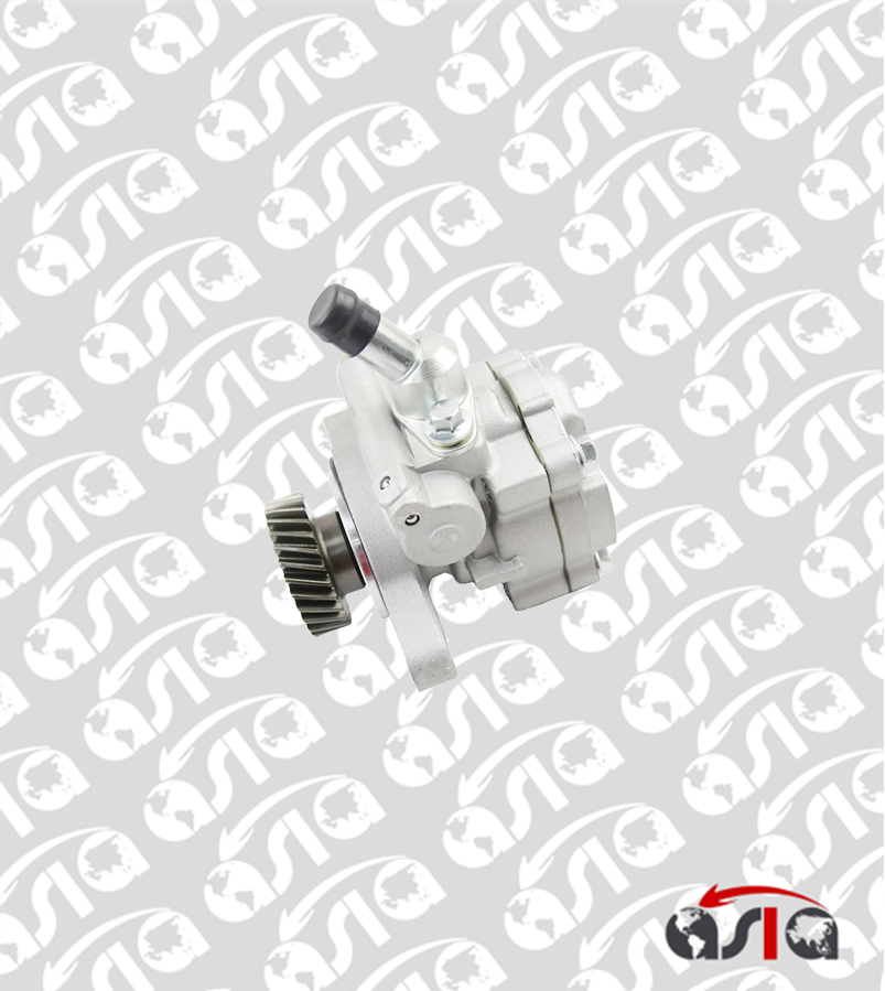 BOMBA POWERSTEERING LAND CRUISER 98/07