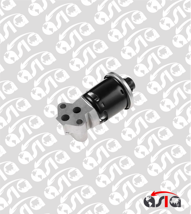 VALVULA EGR N300