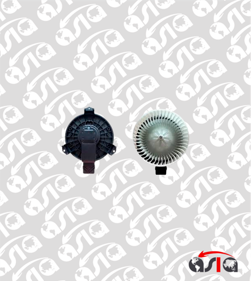 BLOWER PRADO 02/10