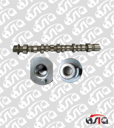 [00005003] ARBOL LEVA PICANTO 04/10