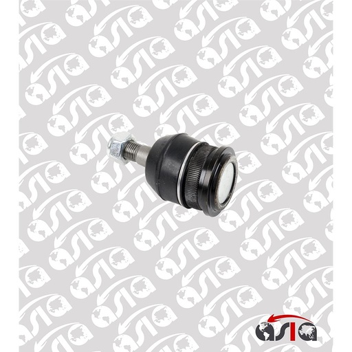 [00008206] BOLA PLATO SUSPENSION 6 SUPERIOR 02/08