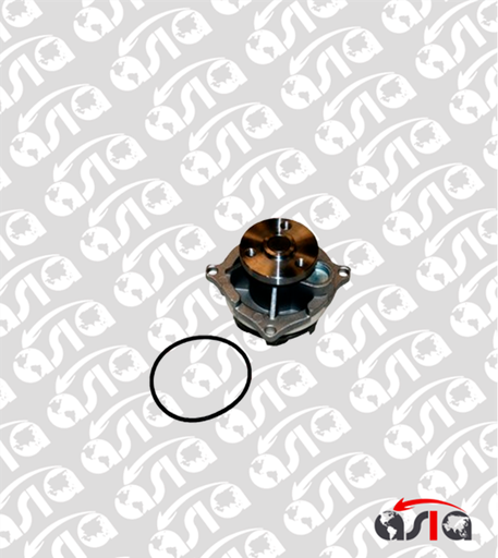 [00005134] BOMBA AGUA FOCUS 2.0 16V 00/04
