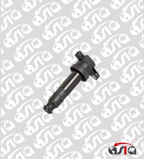 [00009155] COIL CERATO 04/12