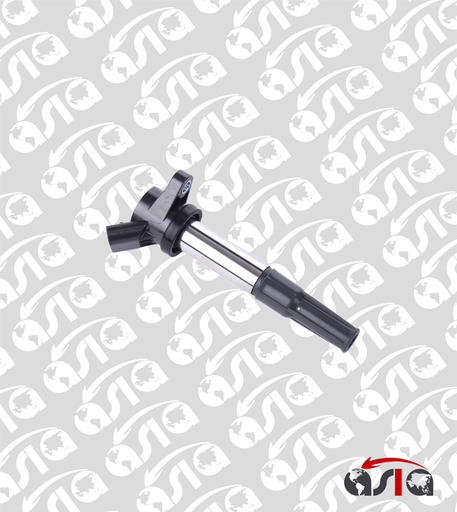 [00004999] COIL EPICA 2.0 06/12