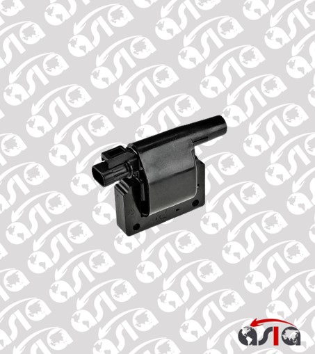 [00002229] COIL SENTRA B13 GA16DS