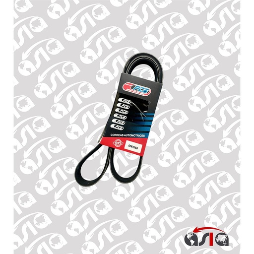 [00001862] CORREA UNICA 6PK1560