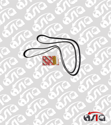 [00003289] CORREA UNICA 6PK2552 SPORTAGE TUCSON IX