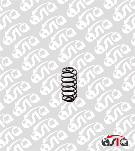 [00005995] ESPIRAL TRASERO PICANTO 17/23