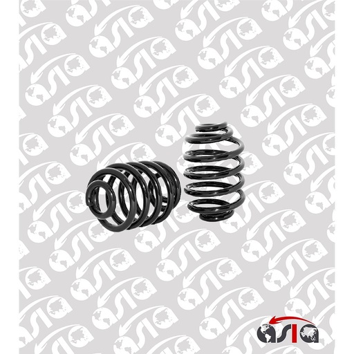 [00007919] ESPIRAL TRASERO PLATINA