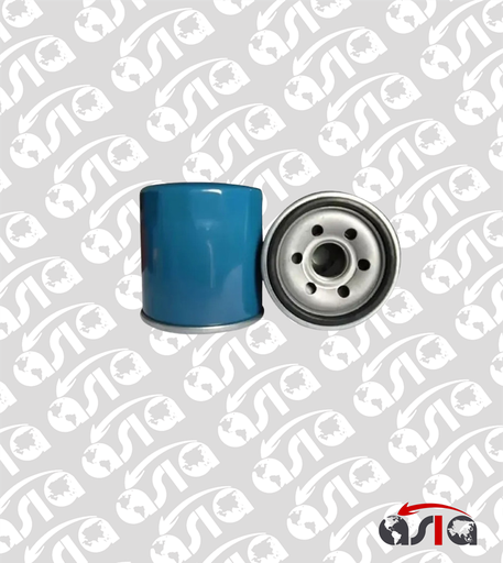 [00002482] FILTRO ACEITE SPARK GT N300