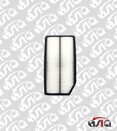 [00006003] FILTRO AIRE RIDGELINE 06/14