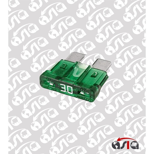 [00006654] FUSIBLE 30A VERDE