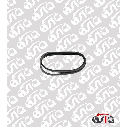 [00000501] GOMA PUERTA TRASERA ELANTRA LH 96/00