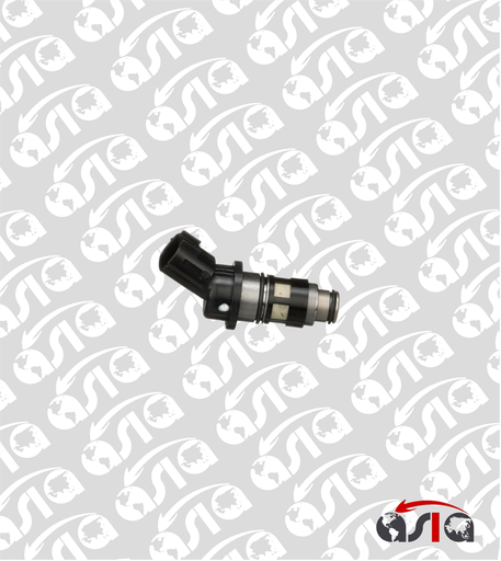 [00005713] INYECTOR SENTRA B13 MEX