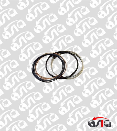 [00003943] KIT ANILLOS ACCENT GAMMA STD 12/20