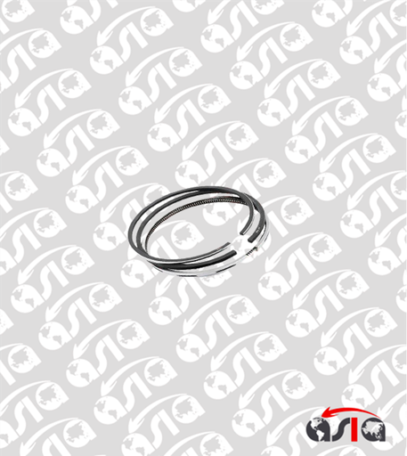 [00006387] KIT ANILLOS TERIOS J100 STD