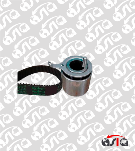 [00006064] KIT TIEMPO CMV GMB