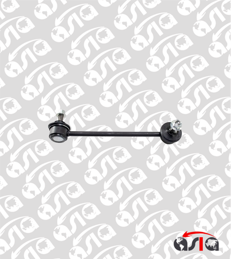 [00006440] LINK TRASERO RIDGELINE LH 05/14