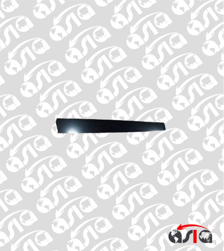 [00004627] MOLDURA PUERTA OPTRA DELANTERA RH
