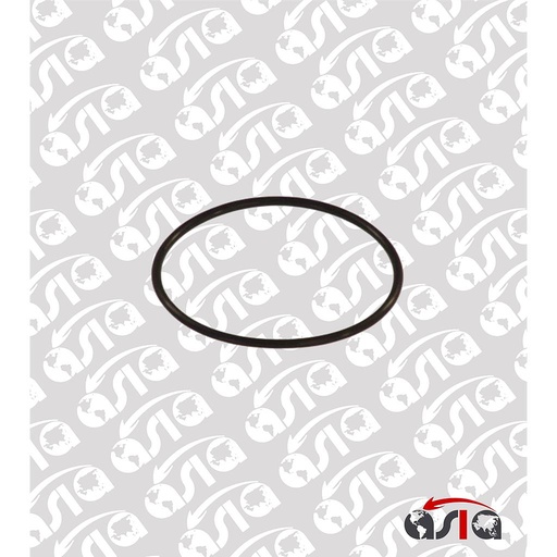 [00008737] ORING BOMBA GASOLINA AVEO 04/18