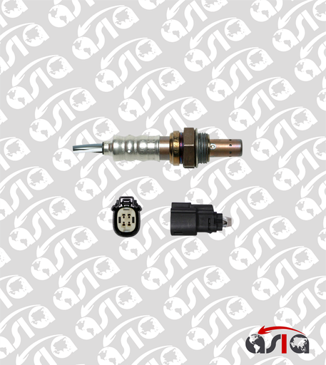 [00006667] SENSOR OXIGENO EXPLORER INFERIOR 11/18