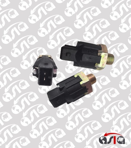 [00006050] SENSOR DETONACION MEGANE 04/08