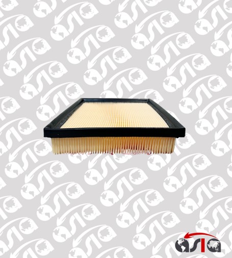 [00011129] FILTRO AIRE RAIZE 21/24
