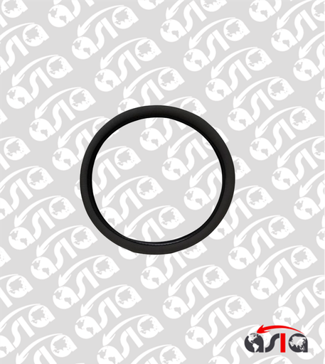 [00011202] FORRO TIMON NEGRO