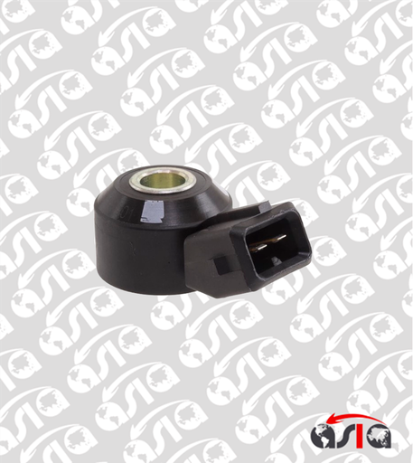 [00011902] SENSOR DETONACION VERSA 13/19