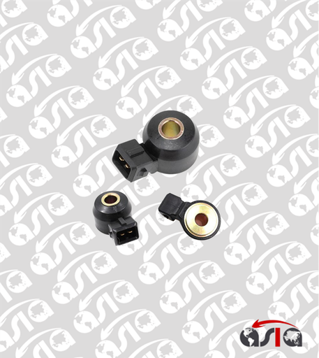 [00011922] SENSOR DETONACION SENTRA B13