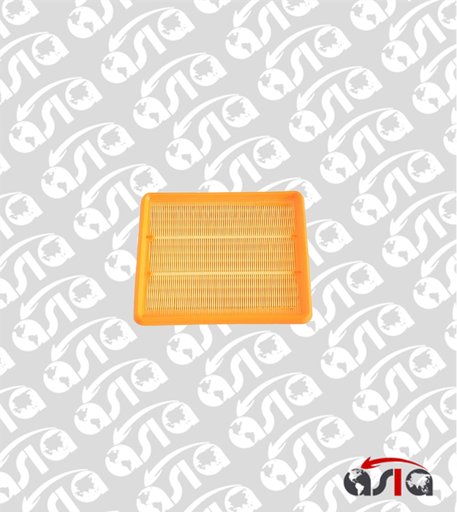 [00012095] FILTRO AIRE CS75 PLUS
