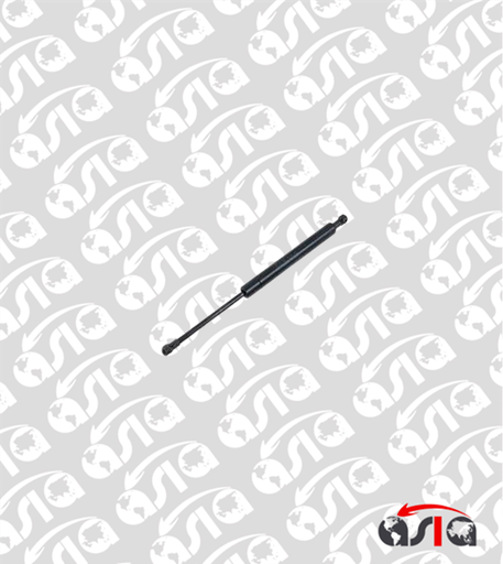 [00012443] AMORTIGUADOR TAPA MOTOR X1 09/15