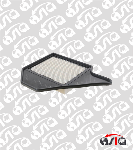 [00013067] FILTRO AIRE GRAND CARAVAN 11/20