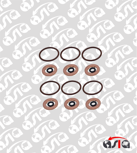 [00013294] KIT SELLOS INYECTOR AMAROK 10/20