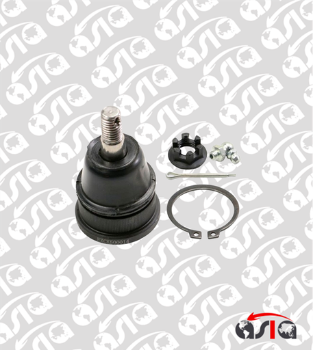 [00013668] BOLA PLATO SUSPENSION EXPLORER SUPERIOR 02/11