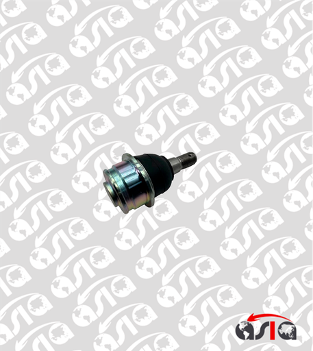 [00014079] BOLA PLATO SUSPENSION PRADO INFERIOR 08/15