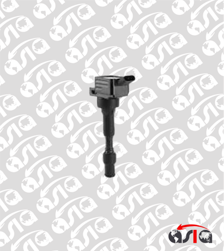 [00014509] COIL ELANTRA 17/