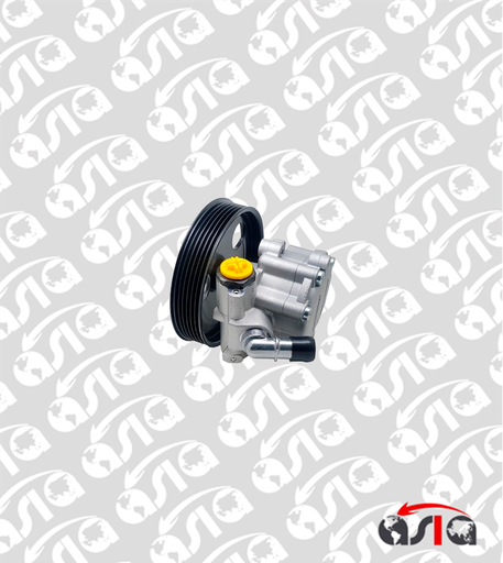 [00014639] BOMBA POWERSTEERING DUSTER