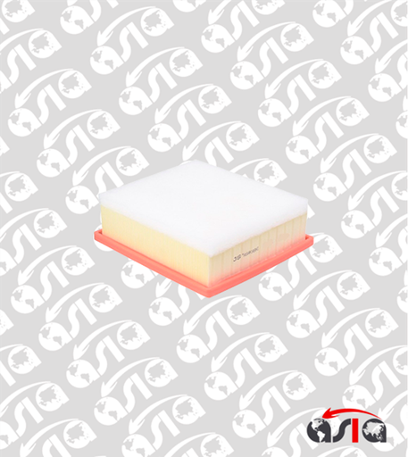 [00015096] FILTRO AIRE RENEGADE 15/22