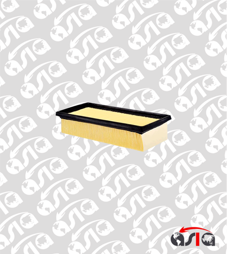 [00015101] FILTRO AIRE XPANDER 18/25