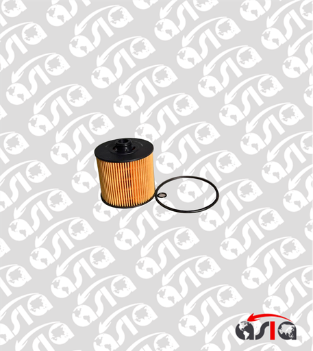 [00015583] FILTRO ACEITE COOLRAY 1.5 18/