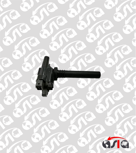 [00015653] COIL CHANGAN