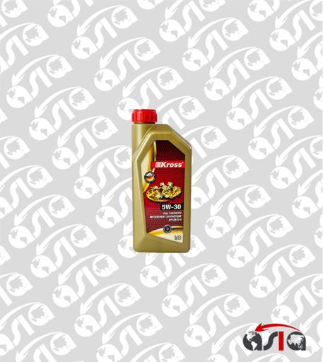 [00015735] ACEITE 5W30 SINTETICO DPF KROSS